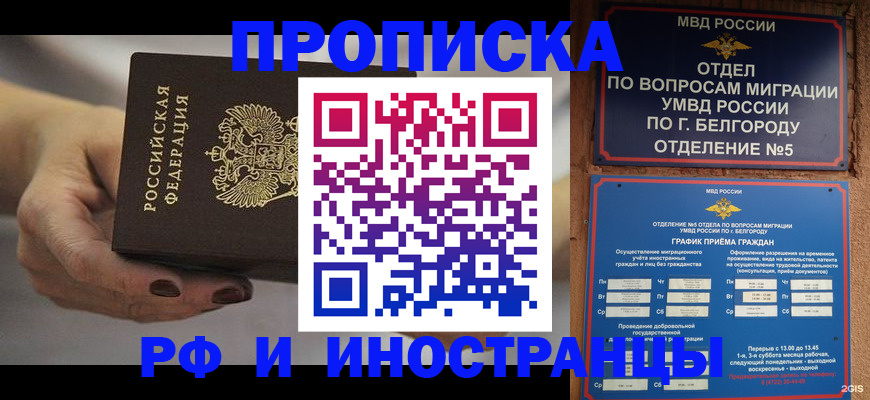прописка штамп в Королёве